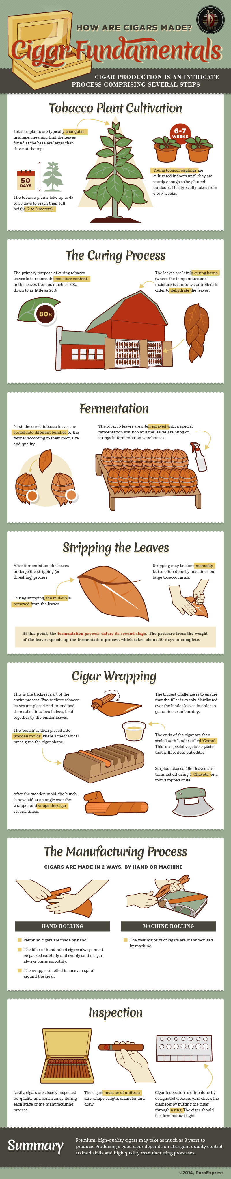 Infographic for Cigar Fundamentals - An Infographic