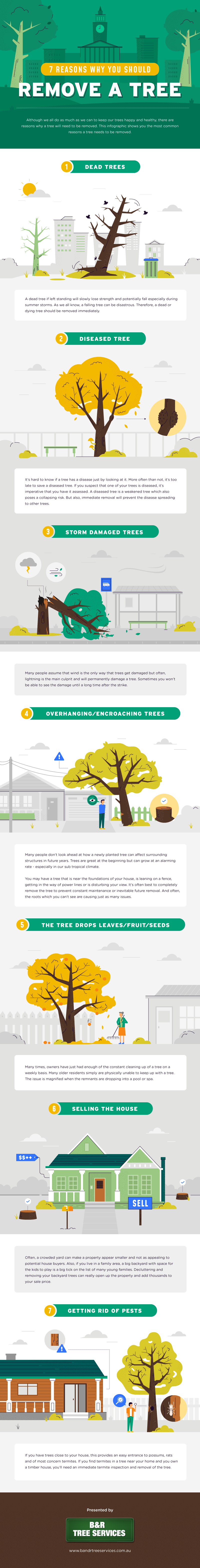 Infographic for 7 Reasons Why You Should Remove a Tree