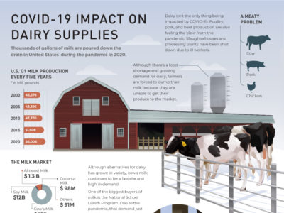 Thumbnail for COVID-19 Impact on Dairy Supplies